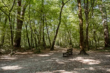 Parc de Mandavit de Gradignan (5).